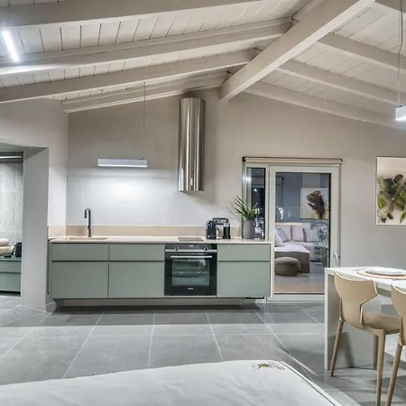 Chameleon Premium Loft 公寓