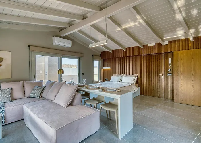 Chameleon Premium Loft דירה *