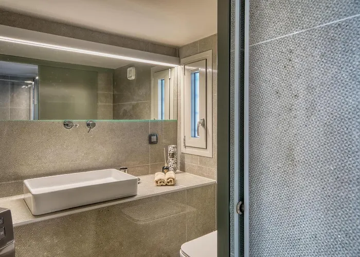 Chameleon Premium Loft *