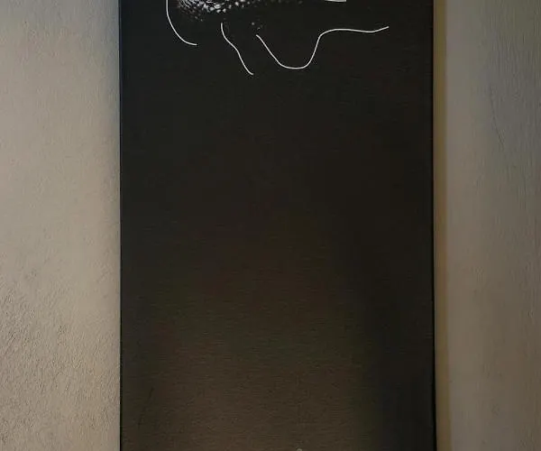 Chameleon Premium Loft נאפפליו