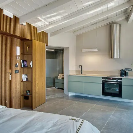 Apartment Chameleon Premium Loft Nafplio