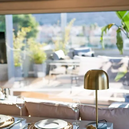 Chameleon Premium Loft * Anabolu