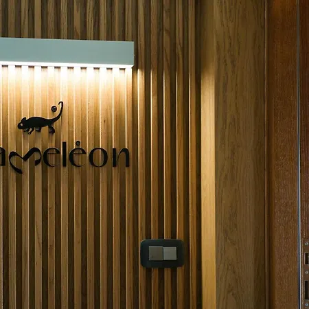 Chameleon Premium Loft 아파트 *