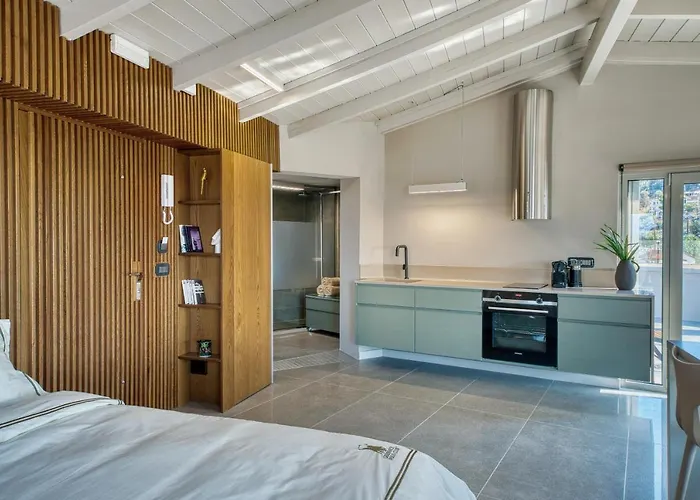 Apartamento Chameleon Premium Loft Náuplia